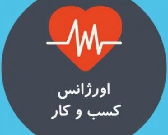 ارجاع ۱۱۵ پرونده به اورژانس کسب و کار اتاق بازرگانی استان البرز