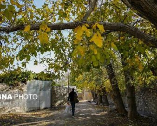 پاییز در قنات ملک زادگاه سپهبد شهید حاج قاسم سلیمانی-کرمان