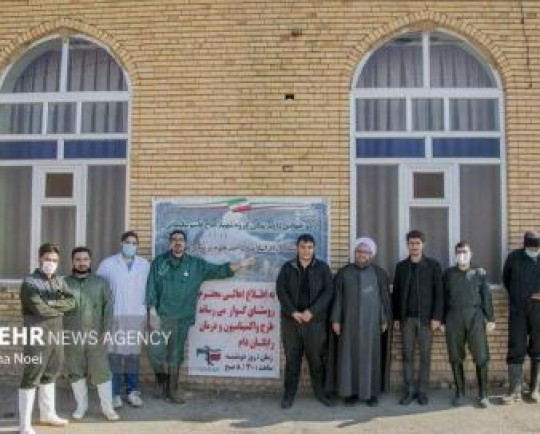 فعالیت دانشجویان جهادی دامپزشکی در تبریز/ شناسایی بیماری‌های دامی