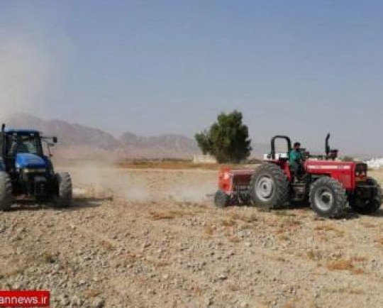 عدم استقبال کشاورزان گلستانی از کشت قراردادی گندم