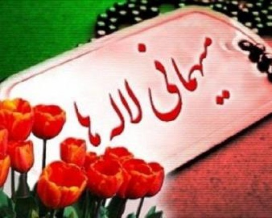 مسابقه عکاسی «مهمانی لاله ها» در یزد برگزار می شود