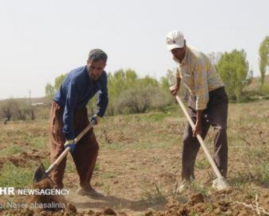 ارائه خدمات به کشاورزان منوط به ارائه سند زراعی خواهد بود