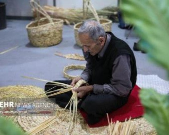 هنرمندان از مزایای قانون حمایت از فعالان صنایع‌دستی بهره‌مند شوند