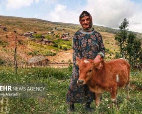 ۳۶۰۰ فرصت شغلی جدید روستایی و عشایری در استان سمنان ایجاد می‌شود