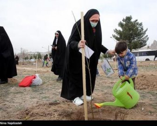 نماینده مردم تهران در مجلس: وزارت جهاد ‌برای کاشت یک میلیارد نهال ‌برنامه‌ریزی کرد‌