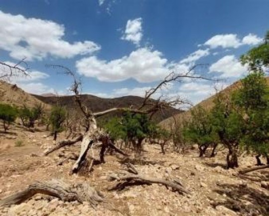 جدال فرانسه با خشکسالی شدید و گسترده