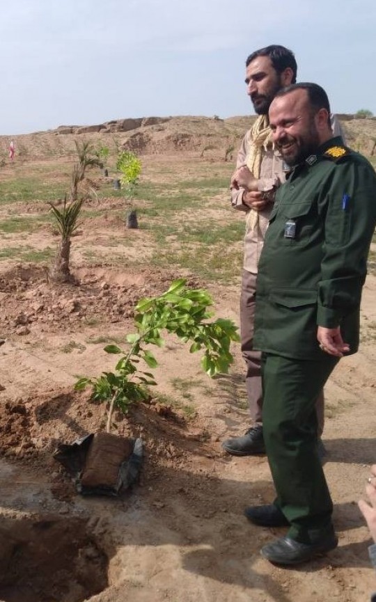 بیش از ۱۶ هزار هکتار نهال‌کاری و بیابان زدایی در خوزستان انجام شد