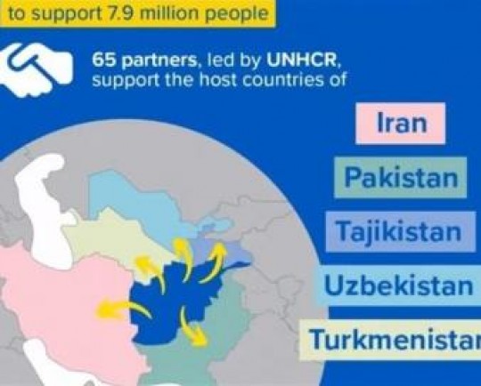 سازمان ملل: برای حمایت از پناهجویان افغان در 5 کشور 613 میلیون دلار نیاز است