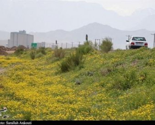 85 هزار گردشگر نوروزی از ارگ جدید بم بازدید کردند