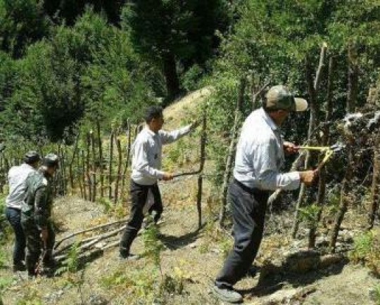 آزادسازی اراضی ملی و جنگلی در مازندران