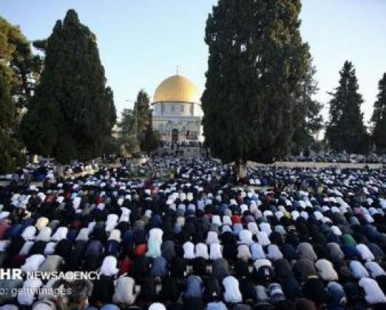 خواهیم آمد؛ پیام اسرای آزادشده یمنی برای فلسطین