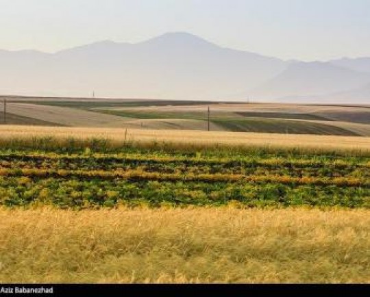 افزایش 70 درصدی تولیدات کشاورزی در چهارمحال و بختیاری