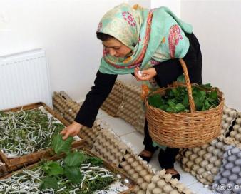 100 میلیارد تومان تسهیلات مشاغل خانگی در کردستان پرداخت نشد